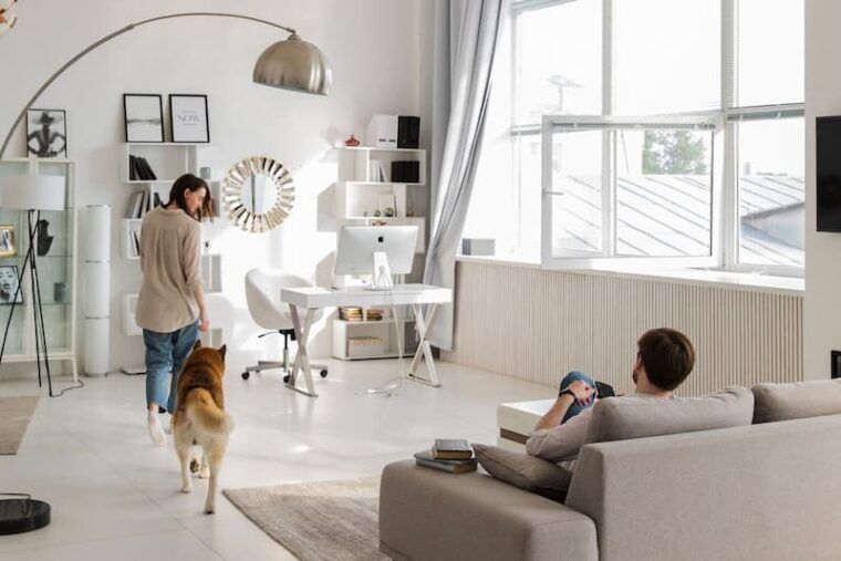 Un salon bien ensoleillé